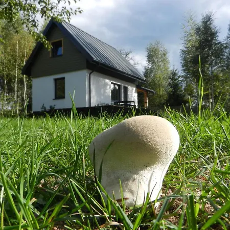 Na Skraju Szlakow Villa Sarnetki Exterior photo