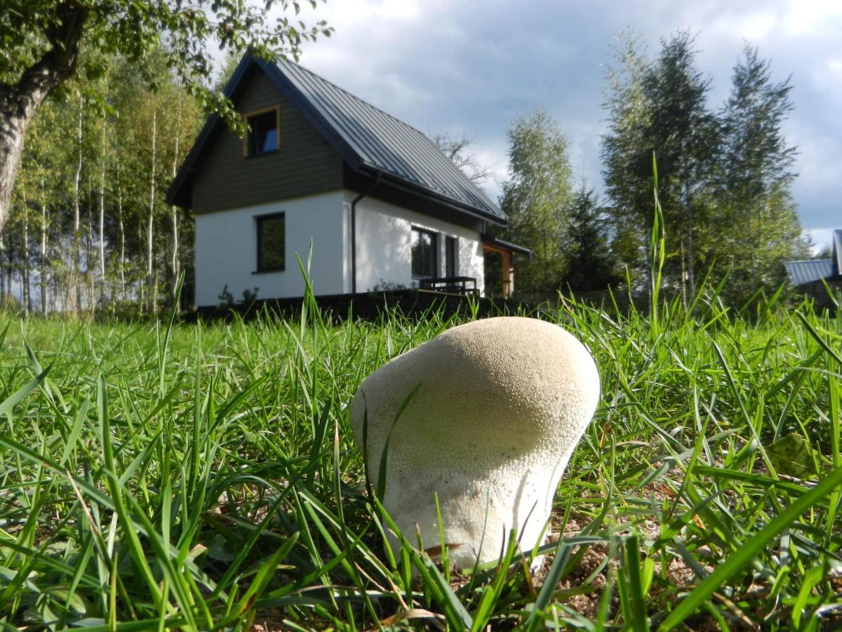 Na Skraju Szlakow Ferienhaus
